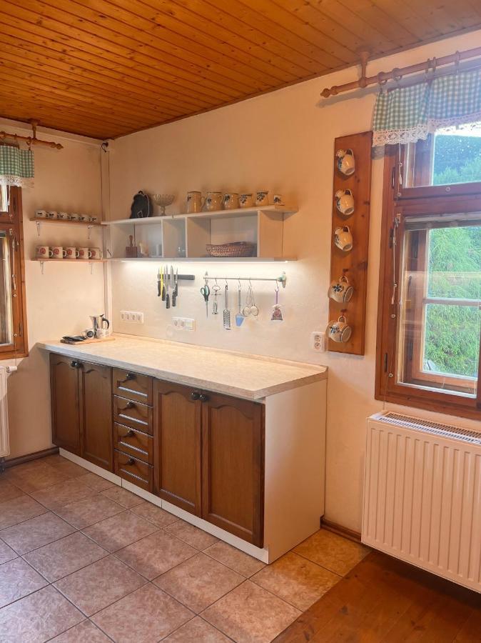 Roubenka Jeseniky Villa Bridlicna Exterior foto